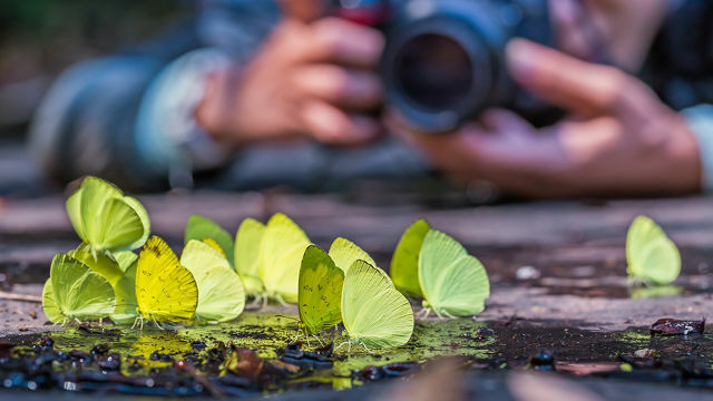 Fotografie-dôvody perspektíva