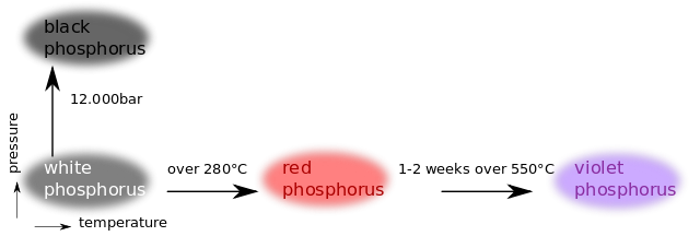 fosforu Allotropes.svg