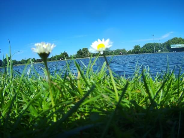 Vzorka fotografií Gladius Mini pre pozemné použitie