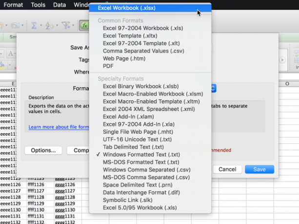 Excel-export-options