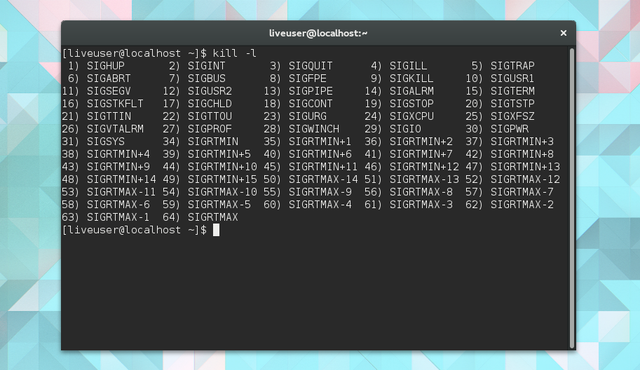 LinuxTaskManager-kill