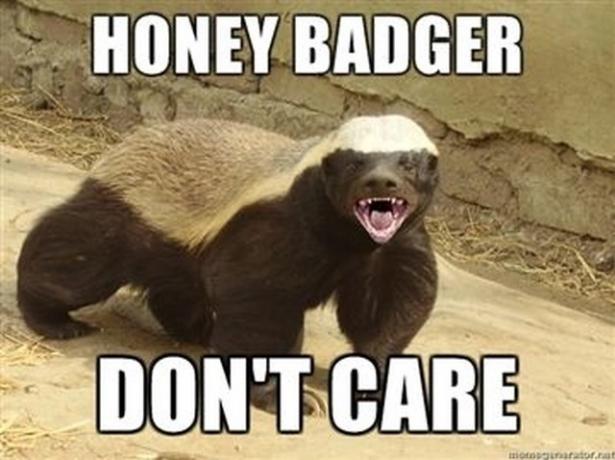 honeybadger