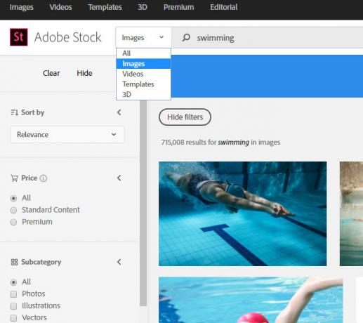 Filtre Adobe Stock Search