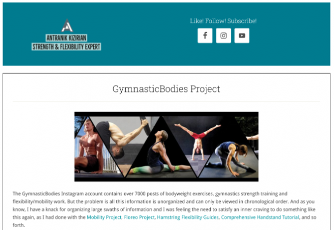 Projekt GymnasticBodies je prehľadne usporiadaná zbierka najlepších príspevkov z účtu Instagram GymnasticBodies, ktorá uľahčuje prehliadanie.